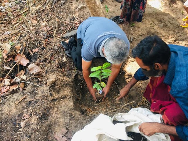 ‘Haritha Deyak’ National Home Gardening Program